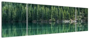 Obraz - drzewa iglaste nad jeziorem (170x50 cm)