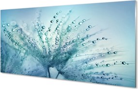 Panel nad Blat Kuchenny Ulotne Krople na Dmuchawcu