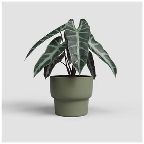 Ceramiczna ręcznie wykonana doniczka ø 20 cm Echo – Artevasi
