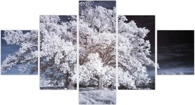Obraz - Śnieżnobiałe drzewo (125x70 cm)