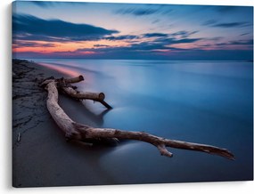 Obraz plaży o zachodzie słońca (70x50 cm)