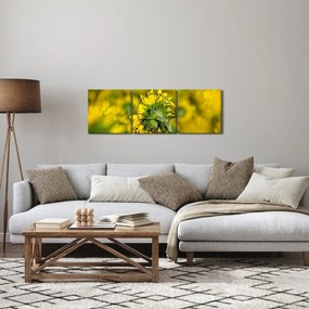 Obraz słonecznika (z zegarem) (90x30 cm)