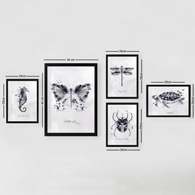 Obrazy zestaw 5 szt. Butterfly – Wallity