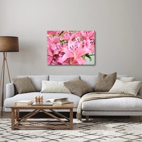 Obraz - Różowe lilie (70x50 cm)