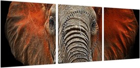 Obraz - Słonie z Tsavo (z zegarem) (90x30 cm)