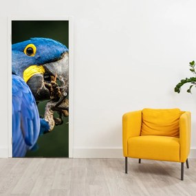 Fototapeta na drzwi - Papuga (95x205cm)