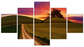 Obraz pola i kolorowego nieba (125x70 cm)