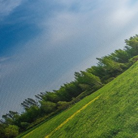 Obraz łąki (125x70 cm)