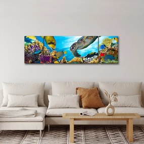 Obraz rafy koralowej (170x50 cm)