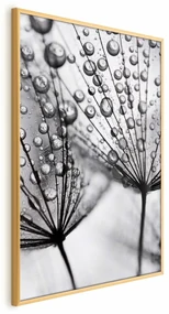 Plakat Rosa 29,7x42 cm z ramą złotą bez marginesu ARTGEIST B
