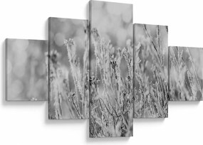 Obraz - Mroźna zima (125x70 cm)