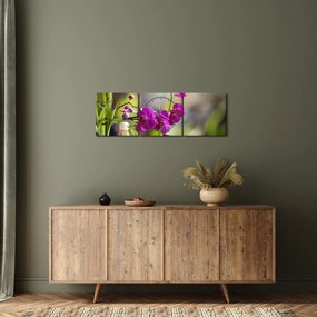 Obraz - spa and stones (z zegarem) (90x30 cm)