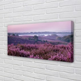 Obraz drukowany na płótnie Pole Wrzosów