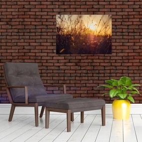 Obraz na szkle pola o zachodzie słońca (70x50 cm)