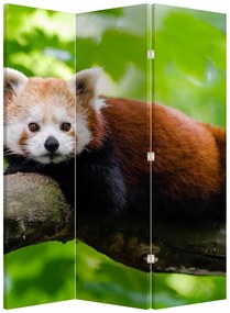 Parawan - Panda czerwona (126x170 cm)