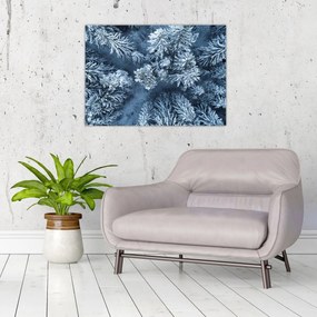 Obraz na szkle - Śnieżny las (70x50 cm)