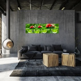 Obraz - Sunshine of the Seven Suns (170x50 cm)