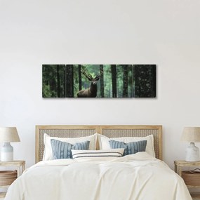 Obraz - Jeleń w głebokim lesie (170x50 cm)