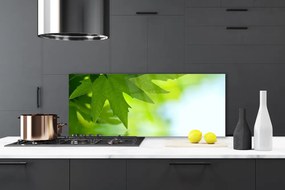 Szkło Dekoracyjne do Kuchni Soczyste Zielone Liście