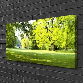 Obraz canvas Parkowa Aleja w Słońcu