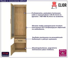 Szklana witryna do salonu dąb artisan - Basani 12X