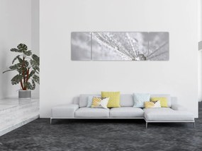 Obraz - Kropla wody (170x50 cm)