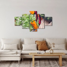 Obraz warzyw (125x70 cm)