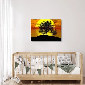Obraz na szkle sylwetki drzewa (70x50 cm)