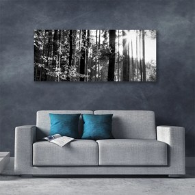 Duży obraz na płótnie Zielone Serce Lasu