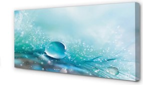 Obraz drukowany na płótnie Abstrakcyjna Kropla Makro