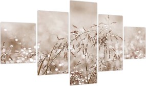 Obraz - Łąka w odcieniach brązu (125x70 cm)