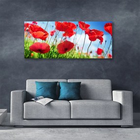 Obraz Canvas Maki Roślina Natura