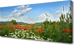 Obraz canvas Sielska Polana Kwiatowa