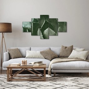 Obraz - Zielona agawa (125x70 cm)