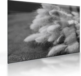 Obraz na szkle - trawa z króliczym ogonkiem na stole (70x50 cm)