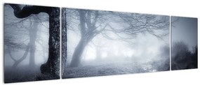 Obraz- Droga we mgle (170x50 cm)