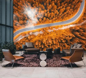Fototapeta - Ścieżka wśród drzew (196x136 cm)
