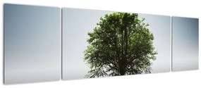 Obraz - Samotne drzewo (170x50 cm)