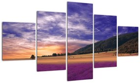 Obraz lawendowej łąki (125x70 cm)