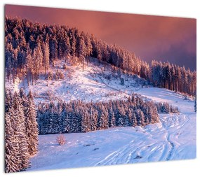 Obraz zimowego krajobrazu (70x50 cm)