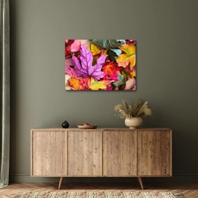 Obraz - jesienne liście (70x50 cm)