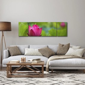 Obraz - roślina wodna (170x50 cm)