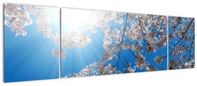 Obraz - Wiśniowe kwiaty (170x50 cm)