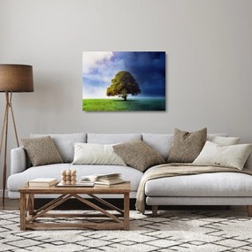 Obraz na szkle - Dzień i noc (70x50 cm)