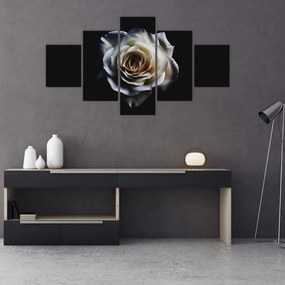 Obraz białej róży (125x70 cm)