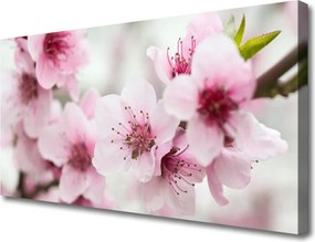 Obraz na płótnie Harmonijna Roślinność Kwiatowa