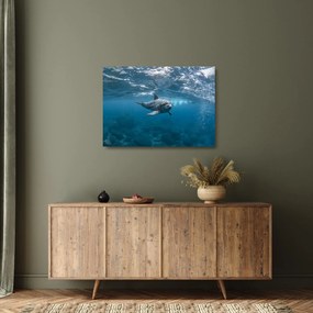 Obraz na szkle - Delfin pod wodą (70x50 cm)