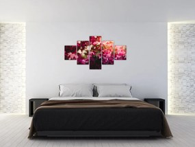 Obraz kwiatów malwy (125x70 cm)