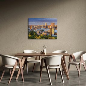Obraz - Panorama Rotterdamu, Holandia (70x50 cm)