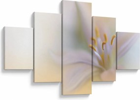 Obraz - Delikatny kwiat (125x70 cm)